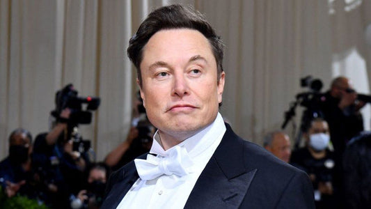 Elon Musk Terminates Twitter Buyout Offer